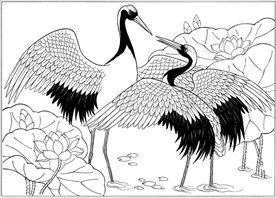 仙鹤线描 仙鹤白描 仙鹤素描