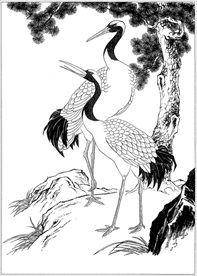 仙鹤线描 仙鹤白描 仙鹤素描