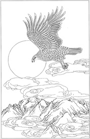 雄鹰线描 雄鹰白描 雄鹰素描