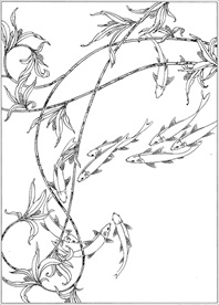 连年有余 鲤鱼线描 金鱼线描