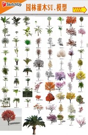 园林灌木植物模型