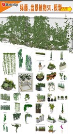 绿廊爬藤植物模型