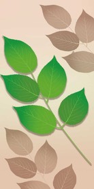 现代简约清新绿叶玄关装饰画