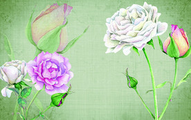 手绘清新玫瑰电视机背景墙