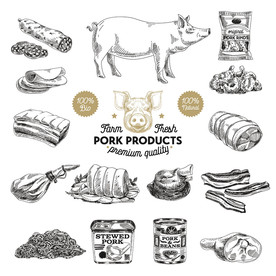 猪肉手绘素描矢量设计素材