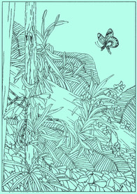 石斛兰线描 石斛兰白描 石斛兰