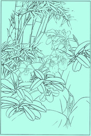 洋兰线描 洋兰白描 洋兰素描