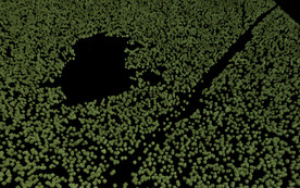 园林绿化植被素材