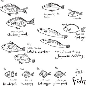 手绘鱼类矢量素材