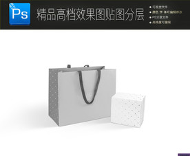 高档手提袋包装样机