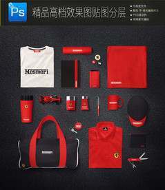 高档通用完整VI样机图片