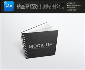 黑卡精装影集样机一键贴图