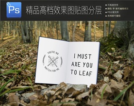 黑卡精装影集样机一键贴图