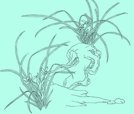 兰花线描 兰花白描 兰花素描