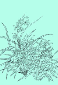 兰花线描 兰花白描 兰花素描