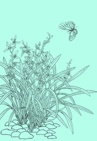 兰花线描 兰花白描 兰花素描