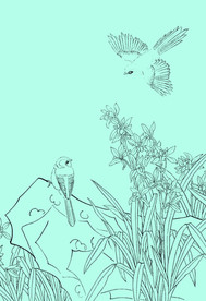 兰花线描 兰花白描 兰花素描