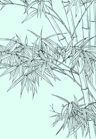 竹子线描 竹子白描 竹子素描