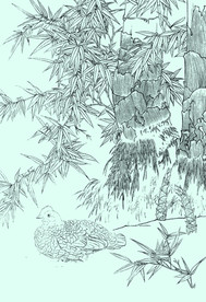 竹子线描 竹子白描 竹子素描