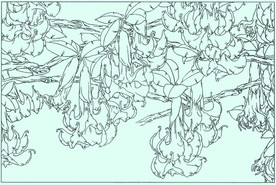 曼陀罗线描 曼陀罗白描 曼陀罗