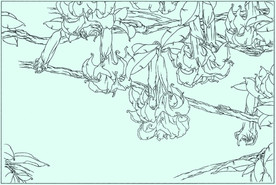 曼陀罗线描 曼陀罗白描 曼陀罗