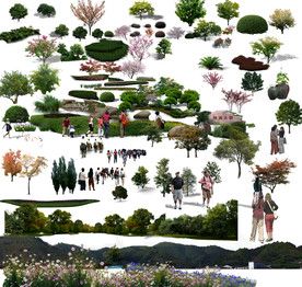 后期PSD植物素材