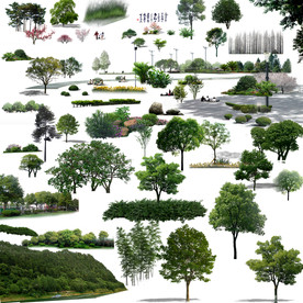 园林树木绿化素材