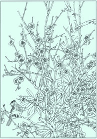 梅花线描 梅花白描 梅花素描