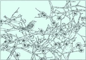 梅花线描 梅花白描 梅花素描