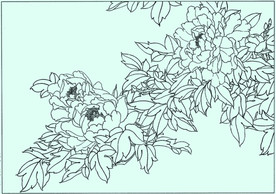 牡丹花线描 牡丹花白描 牡丹花