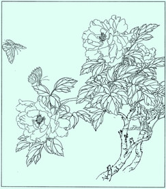 牡丹花线描 牡丹花白描 牡丹花