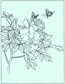 牡丹花线描 牡丹花白描 牡丹花