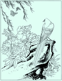 牡丹花线描 牡丹花白描 牡丹花