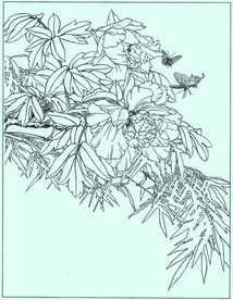 牡丹花线描 牡丹花白描 牡丹花