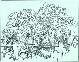 牡丹花线描 牡丹花白描 牡丹花