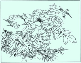 牡丹花线描 牡丹花白描 牡丹花