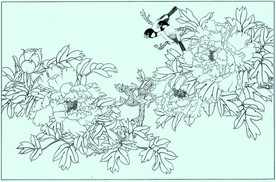 牡丹花线描 牡丹花白描 牡丹花