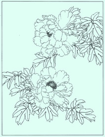牡丹花线描 牡丹花白描 牡丹花