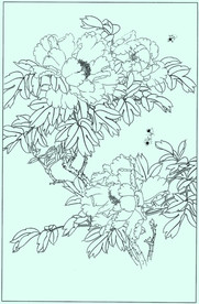 牡丹花线描 牡丹花白描 牡丹花