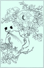 牡丹花线描 牡丹花白描 牡丹花