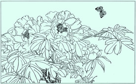 牡丹花线描 牡丹花白描 牡丹花