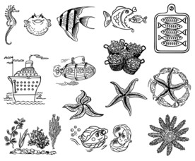 手绘鱼类海洋生物