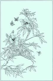 秋葵线描 秋葵白描 秋葵素描