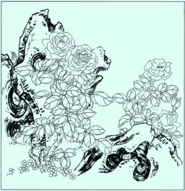 月季线描 月季白描 月季素描