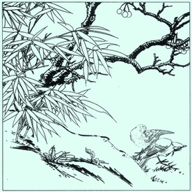 竹子线描 竹子白描 竹子素描