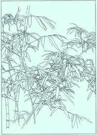 竹子线描 竹子白描 竹子素描