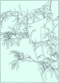 竹子线描 竹子白描 竹子素描
