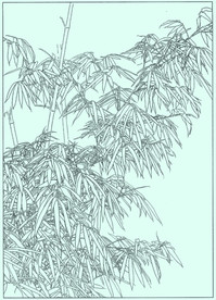 竹子线描 竹子白描 竹子素描