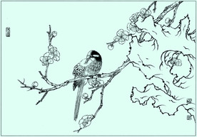 白头雀线描 白头雀白描 白头雀