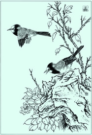 白头雀线描 白头雀白描 白头雀